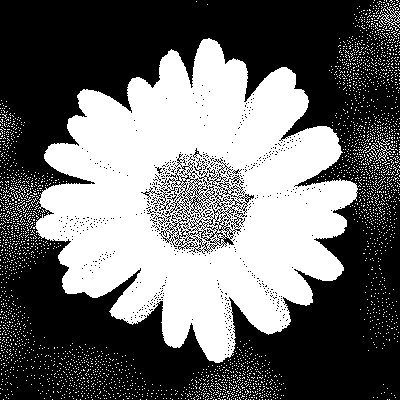monochrome flower